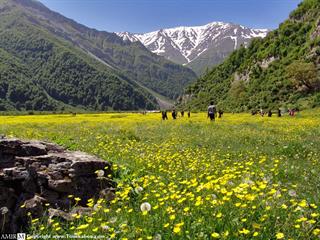 بچه های شهسوار