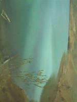 زندگی