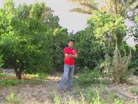 safar be sheraz