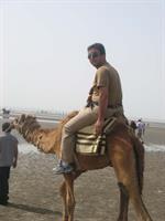 بندر عباس