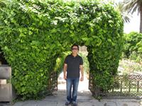 shiraz