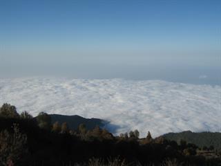  گرگانی برای تفریح 