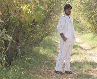 baba todige ki hasti