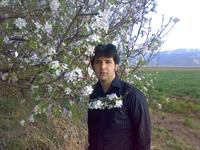 baghe sib