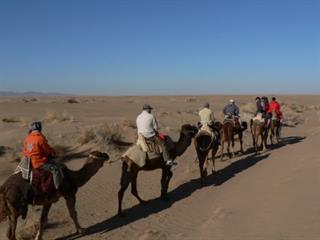 گردش و تفریح