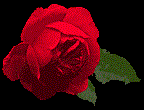 ای نگار سمره سبزه و رعنا قد من
آمدی رفت ز تن غصه و حال بد من