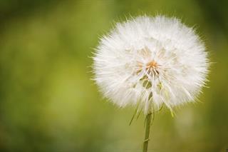 چرتو پرت  هر چی 