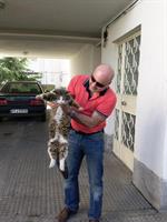 nice cat 2