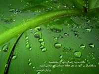 ارزش زندگي