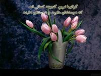 موفقيت