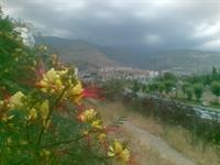 ozgol utobane emam ali