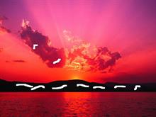 mojtaba - zare ernani