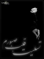 tasliyat be hameye dell shekastegan