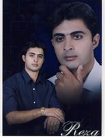 reza_ziba2159@yahoo.com