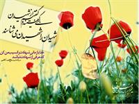 سلام یکم بی معرفتی که یادی از اونایی که برای دفاع از من و تو رفتن و عزیزترین چیزاشونو دادن یادی نکنیم