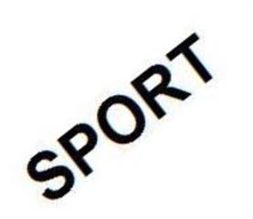 گفتگو ورزشکاران و اشنایی انان با هم