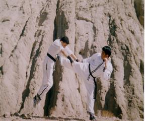 دوستان اریایی