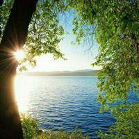 salam
sobheton bekheir