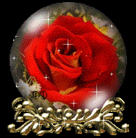 گل سرخ
