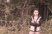 bahare91