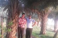 nakhlestan