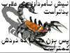 بزن عقرب که دردش کمتراست