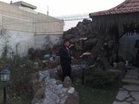 ariyan