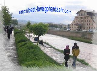   ....................