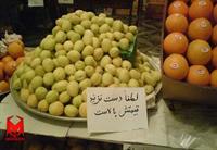 واقعا؟؟؟؟؟؟؟؟؟