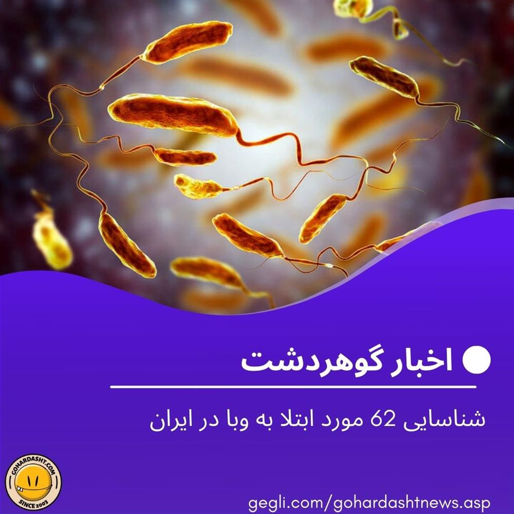  شناسایی 62 مورد ابتلا به وبا در ایران