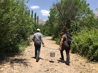 برگزاری تور های تخصصی الموت  