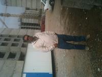 pardis