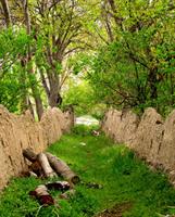 نمایی بسیار زیبا از فصل بهار شهرم
عکس از: علی معصومی