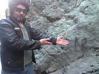 beporsid