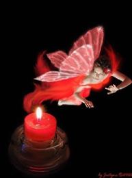 alireza - delshekasteh