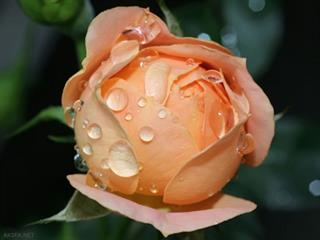 نیازهای فردی ازحیث روحی وجسمی