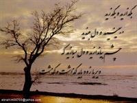 بدون شرح

