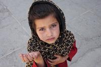 afghan