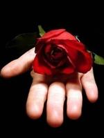 my dear