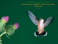 صله رحم موجب ازدياد عمر و روزي است 