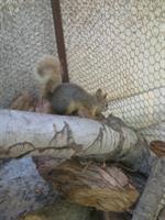 10062011125.jpg