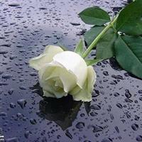 ���������� ���� ��������

�������� ������ �������� ������ ���� ������ �������� ���� �������������� ���