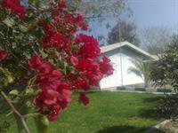 خوابگاه من.جزیره ی تنهایی
