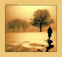 تبادل تجربه 