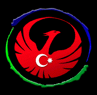 این عکس باهلی