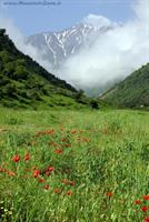 طبیعت سبلان