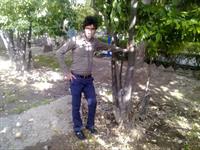 shiraz
