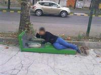 دست گلتون درد نكنه