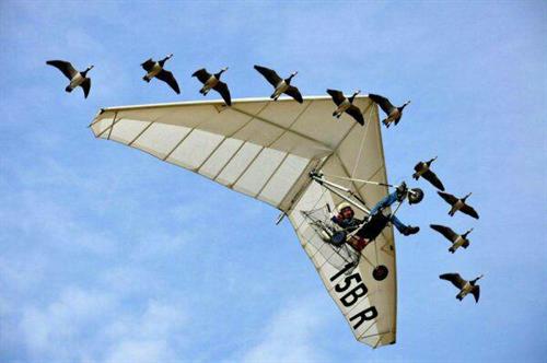 کاریابی درترکیه