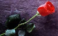 romantic romantic romantic romantic romantic romantic romantic romantic romantic romantic romantic romantic romantic romantic romantic romantic